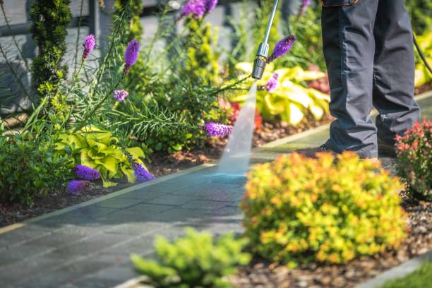 Best Gas Station Cleaning  in Morristown, TN